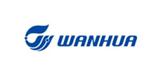 Guangdong Morthink Film Technology Co., LTD.